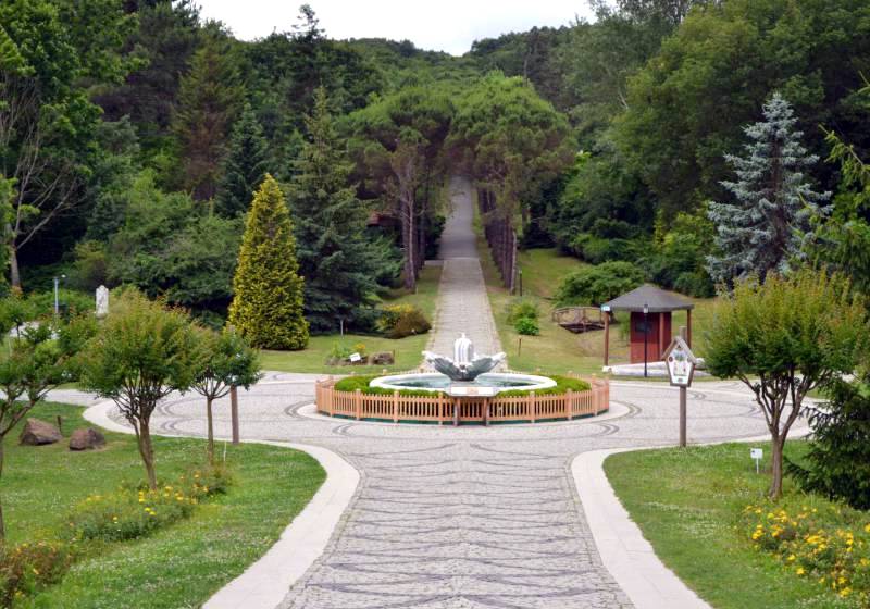 Без подписи