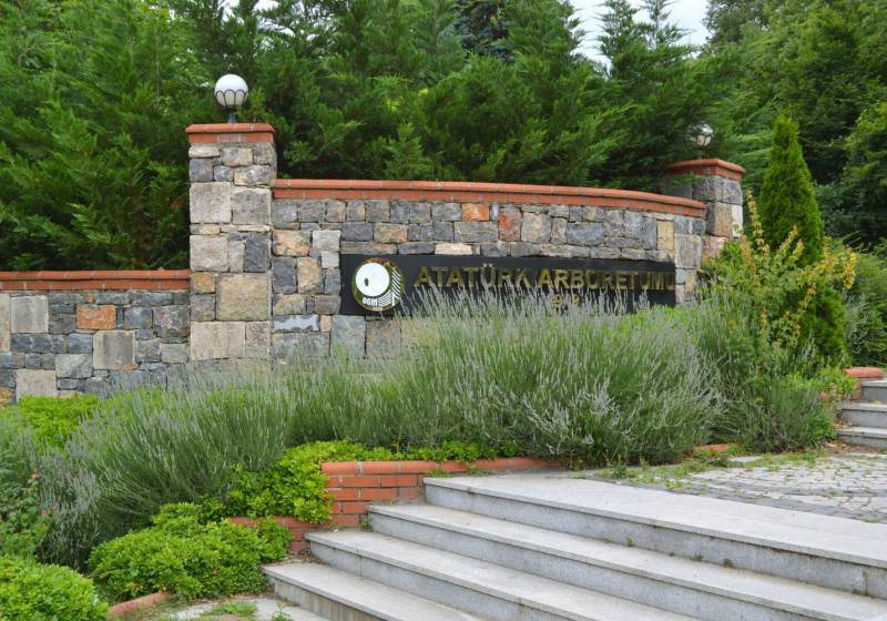 Без подписи