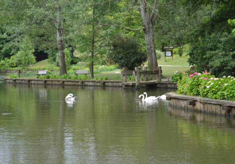 Без подписи