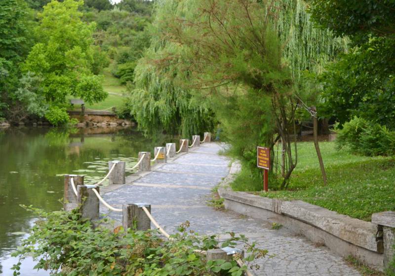 Без подписи