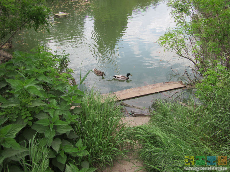 Озеро старая река. Озеро Старая Кубань Краснодар. Набережная озеро Старая Кубань. Озеро Старая Кубань пляж. Озеро Старая Кубань фото.