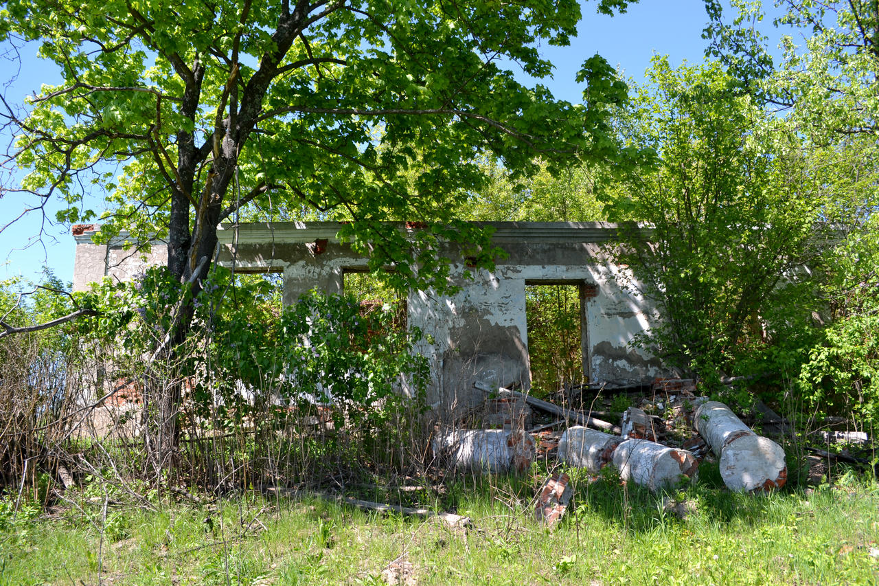 Руины усадьбы