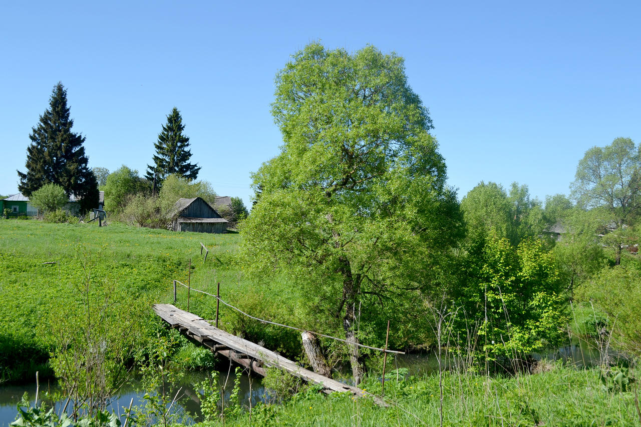 Деревенские пейзажи