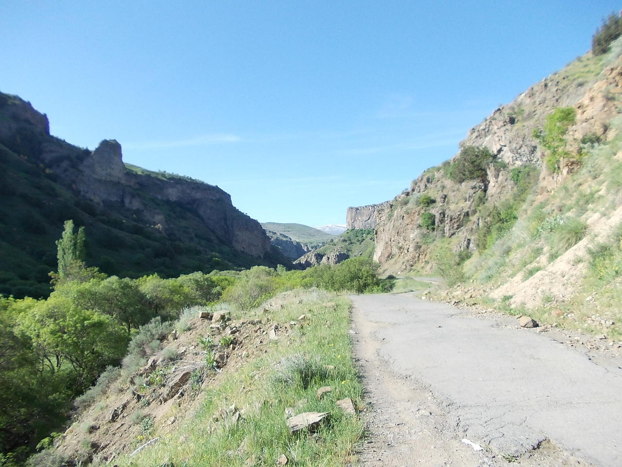 Без подписи