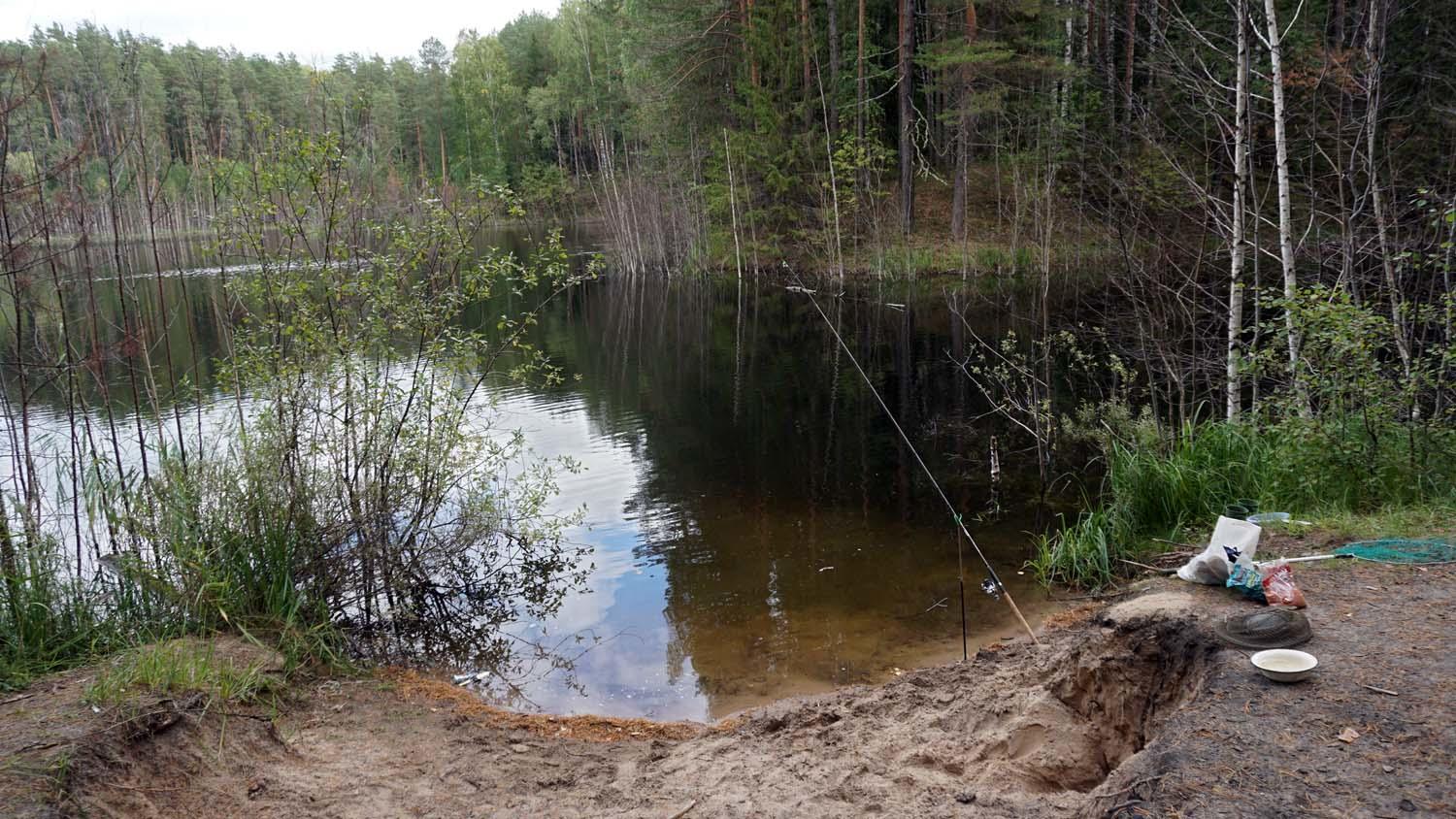 Без подписи