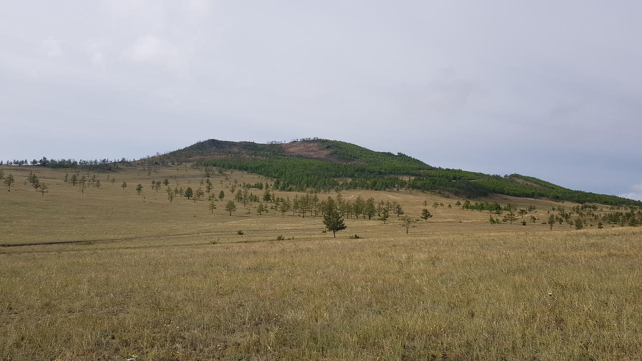Поднималась здесь, примерно по центру