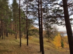Без подписи