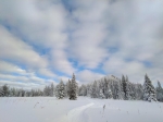 Без подписи