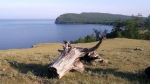 Без подписи