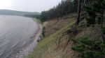Без подписи