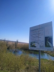 Без подписи