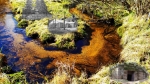 Наше маленькое "Кривоборье"