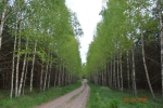 дорога после указателя