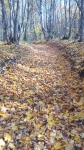 Без подписи