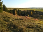 Без подписи