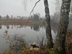 Без подписи