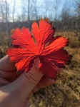 Без подписи