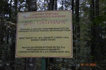 Без подписи