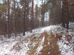 Дорожка к тайнику