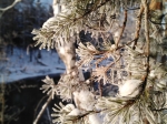 Без подписи