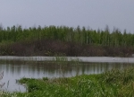 Без подписи