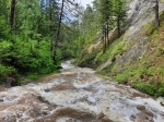Без подписи