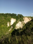 Без подписи