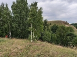 Без подписи