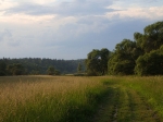 Без подписи