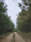 Дорога к ключу