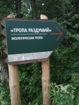 Без подписи