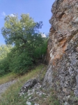 Без подписи