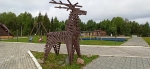Без подписи