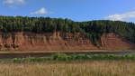 Без подписи