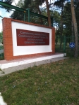 Без подписи