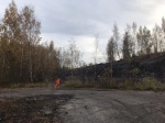 Без подписи