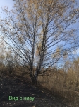 Без подписи