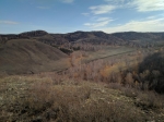 Без подписи