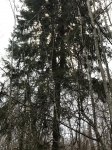 Без подписи
