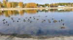 Без подписи