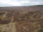 Без подписи