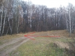 Вход в лес