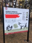 виртуальный вопрос