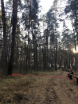полянка с тайником