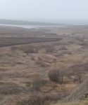 Без подписи