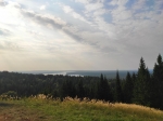 Без подписи