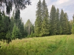 Без подписи