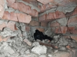Это не крыса, это тайник