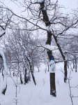 Без подписи