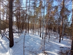 Без подписи